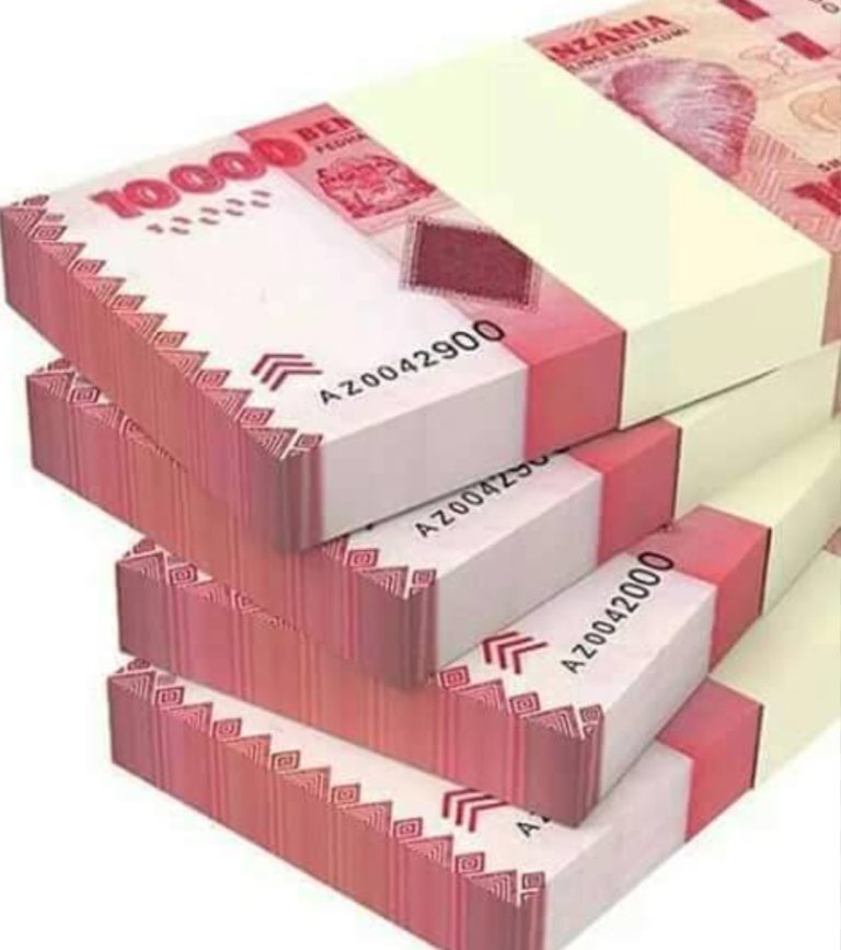 SHILINGI YA TANZANIA, NI VEMA IHESHIMIWE