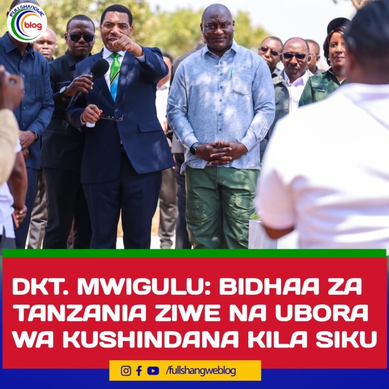 DKT. MWIGULU: BIDHAA ZA TANZANIA ZIWE NA UBORA WA KUSHINDANA KILA SIKU