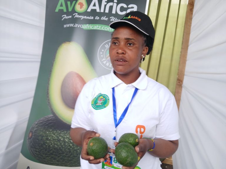 KAMPUNI YA AVOAFRICA YAWAFIKIA WAKULIMA WA PARACHICHI ARUSHA, YAAHIDI SOKO LA UHAKIKA KWA PARACHICHI AINA YA HASS NA FUERTE