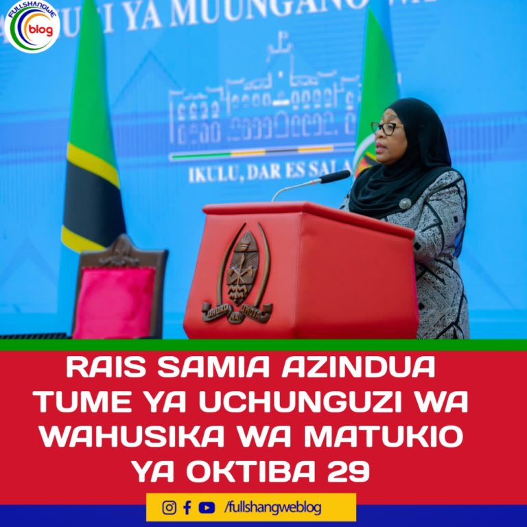 RAIS SAMIA AZINDUA TUME YA UCHUNGUZI WA WAHUSIKA WA MATUKIO YA OKTIBA 29