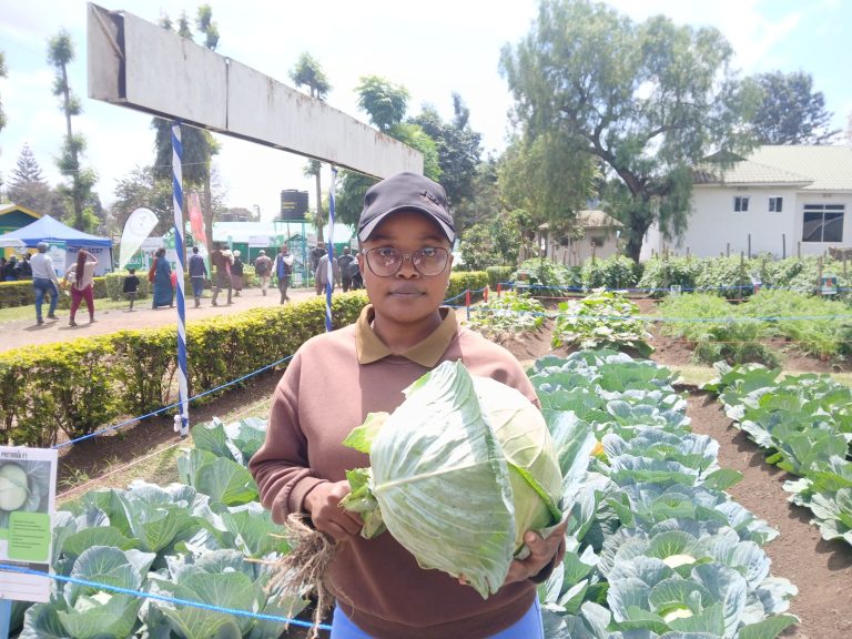 NANENANE 2026: ASTERIA AGROVET YAWAPA WAKULIMA SULUHISHO LA MBEGU, MBOLEA NA VIUATILIFU