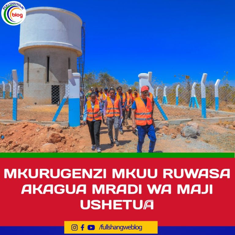 MKURUGENZI MKUU RUWASA AKAGUA MRADI WA MAJI USHETU 