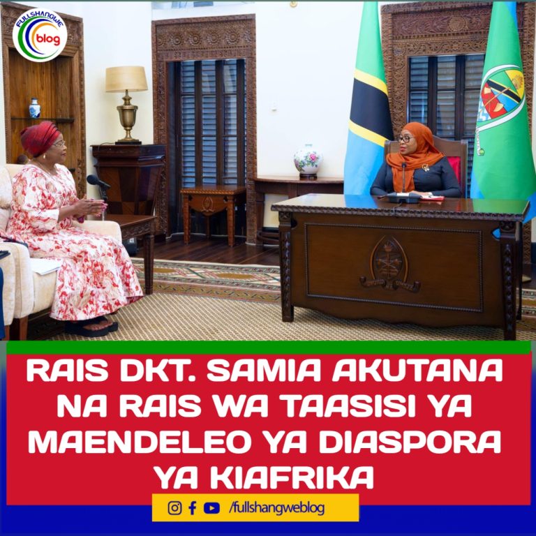 RAIS DKT. SAMIA AKUTANA NA RAIS WA TAASISI YA MAENDELEO YA DIASPORA YA KIAFRIKA
