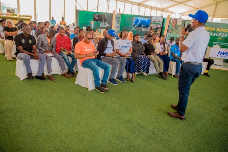 NMB YAIGEUZA NANENANE KUWA DARASA LA FURSA, MAARIFA NA UWEZESHAJI