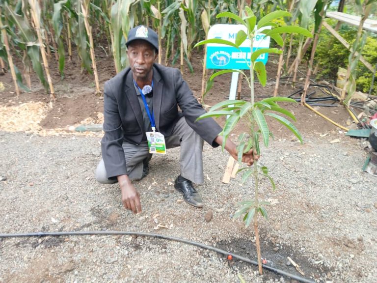 TEKNOLOJIA MPYA  YA MBOLEA YA  SAMADI  YA WANYAMA NA NDEGE  YAWA KIVUTIO MAONESHO YA NANANANE 