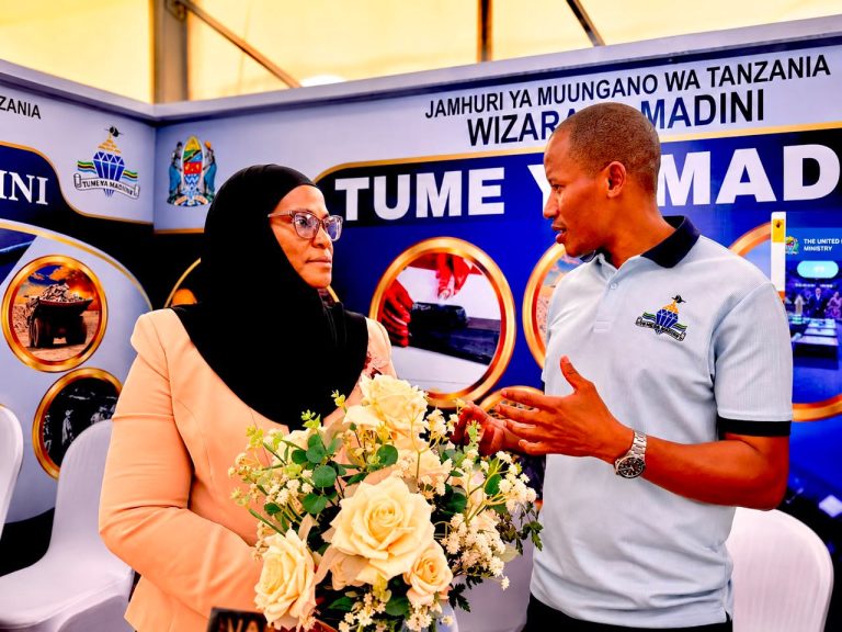 MHANDISI SWEDI: NANENANE NI FURSA YA KUIMARISHA SEKTA YA MADINI
