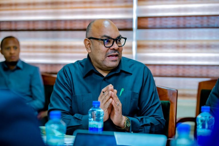WIZARA YA MAMBO YA NJE NI KIUNGO MUHIMU KATIKA MAFANIKIO YA SERIKALI- WAZIRI KOMBO