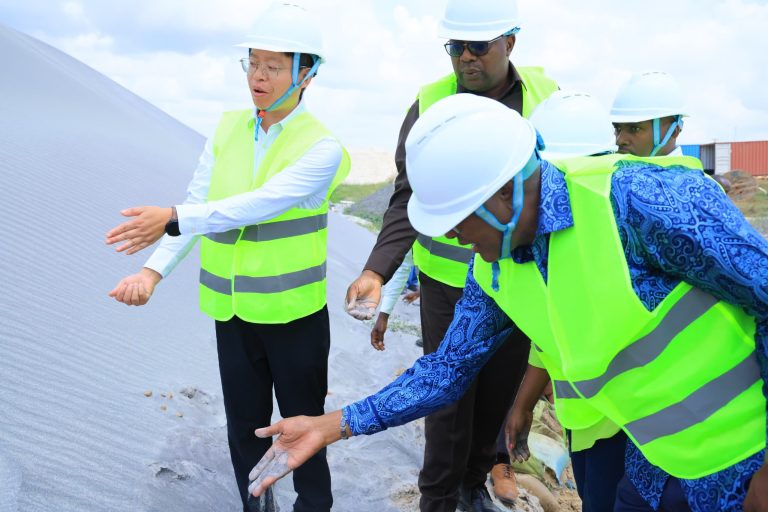TANZANIA KUWA KITOVU CHA UCHAKATAJI WA MADINI TEMBO