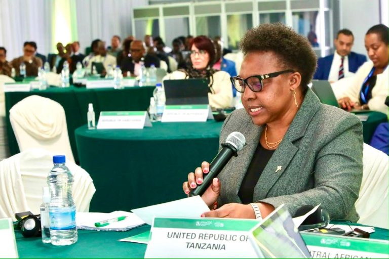 AFRIKA KUWA NA SAUTI MOJA MABADILIKO YA MFUMO WA AFYA DUNIANI