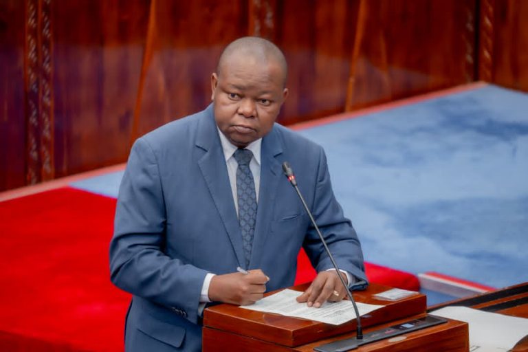 SERIKALI KUJENGA VITUO VYA AFYA MWIBARA, HUDUMA ZA DHARURA NA UPASUAJI KUSOGEZWA KARIBU NA WANANCHI