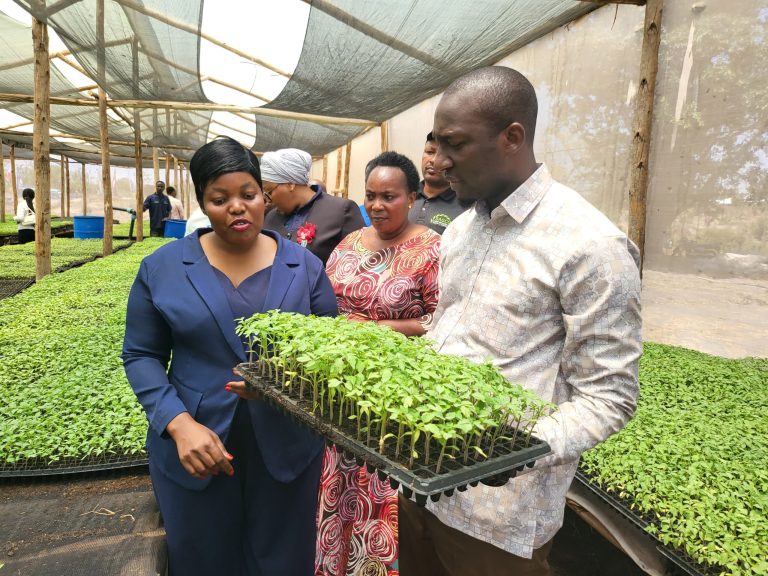 NYANYA GEITA ZAFUNGUA FURSA ZA AJIRA NA BIASHARA, AGITF YATOA MIKOPO KWA WAKULIMA