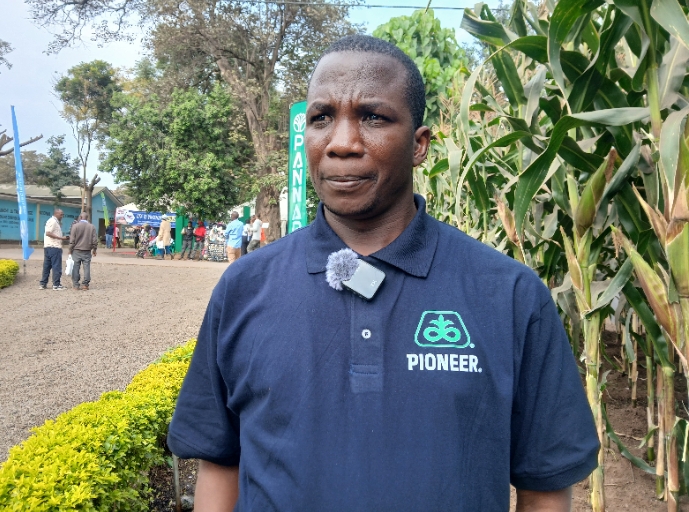 KAMPUNI YA CORTEVA YAONESHA TEKNOLOJIA YA MBEGU BORA ZA MAHINDI KWENYE MAONESHO YA NANENANE ARUSHA.