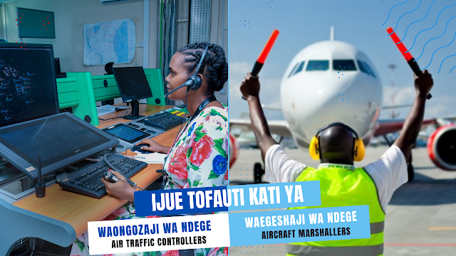 TOFAUTI KATI YA WAONGOZAJI WA NDEGE NA WAEGESHAJI WA NDEGE