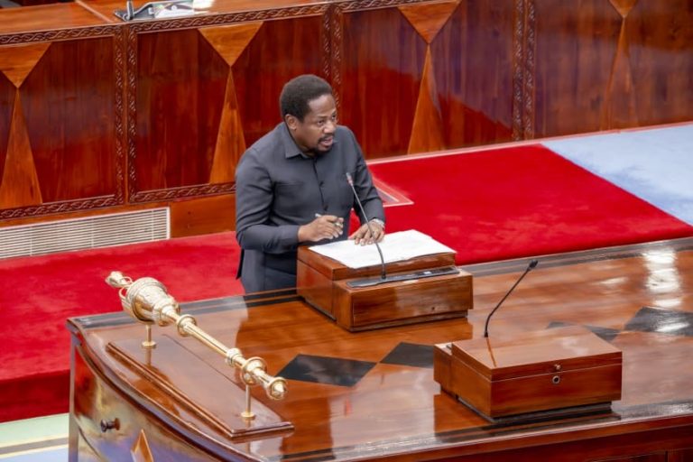 MILIONI 6 WANUFAIKA NA UCHUMI WA BULUU