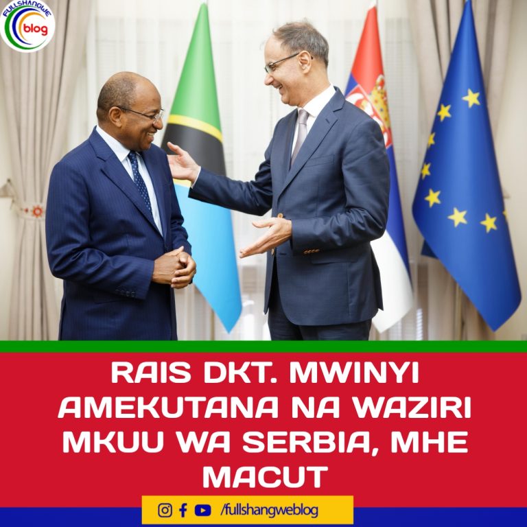 RAIS DKT. MWINYI AMEKUTANA NA WAZIRI MKUU WA SERBIA, MHE MACUT.