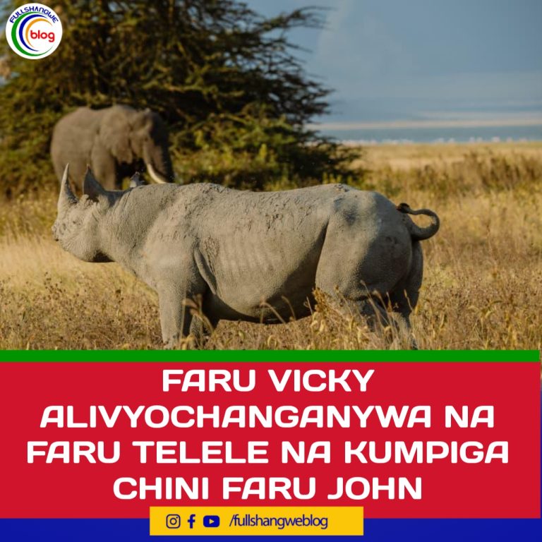FARU VICKY ALIVYOCHANGANYWA NA FARU TELELE NA KUMPIGA CHINI FARU JOHN
