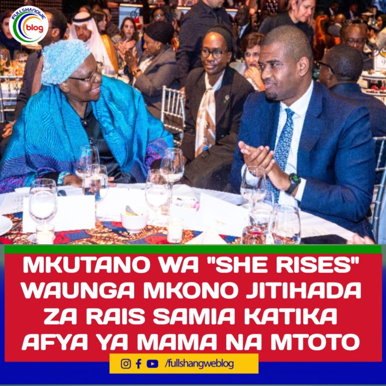 MKUTANO WA “SHE RISES” WAUNGA MKONO JITIHADA ZA RAIS SAMIA KATIKA AFYA YA MAMA NA MTOTO