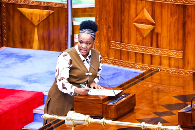 SERIKALI YAFIKISHA UMEME KATIKA MAENEO 582 YA WACHIMBAJI WADOGO, KILIMO NA VIWANDA TANZANIA BARA