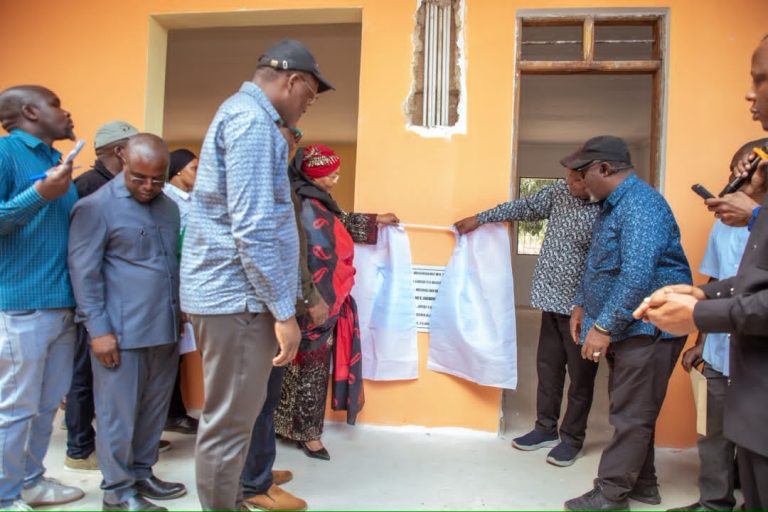 PROF. SHEMDOE AWEKA JIWE LA MSINGI UJENZI WA MADARASA LINDI