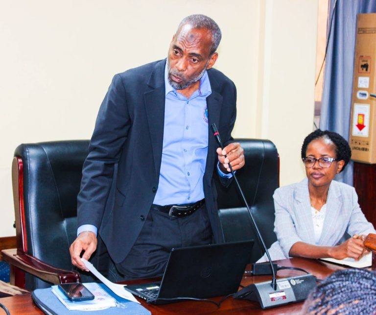 THBUB KUJA NA MWONGOZO WA KUTATHMINI MISINGI YA UTAWALA BORA NCHINI