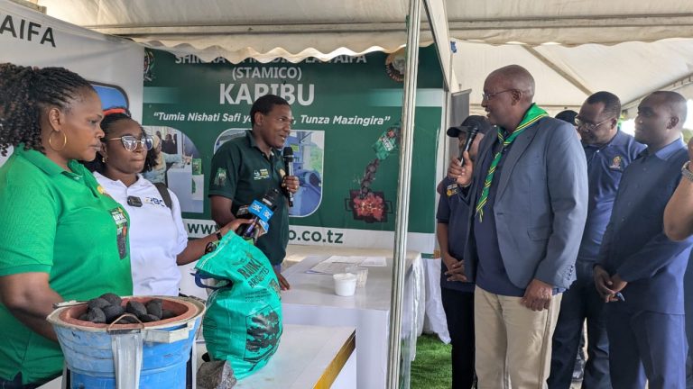 KIWANDA CHA CHUMVI CHA STAMICO NI FURSA KWA WAKAZI WA LINDI – NAIBU WAZIRI WA MADINI