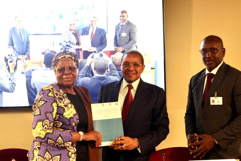 KIKWETE AWASILISHA RIPOTI YA UWEKEZAJI MAJI AFRIKA KWENYE MKUTANO WA UMOJA WA MATAIFA, NEW YORK