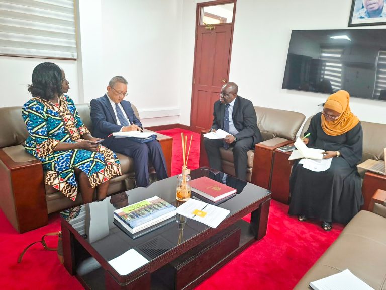 UNDP KUENDELEZA USHIRIKIANO NA OFISI YA MAKAMU WA RAIS