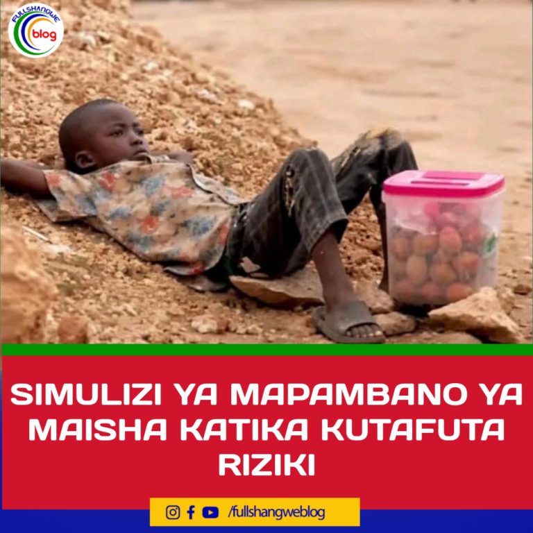 SIMULIZI YA MAPAMBANO YA MAISHA KATIKA KUTAFUTA RIZIKI