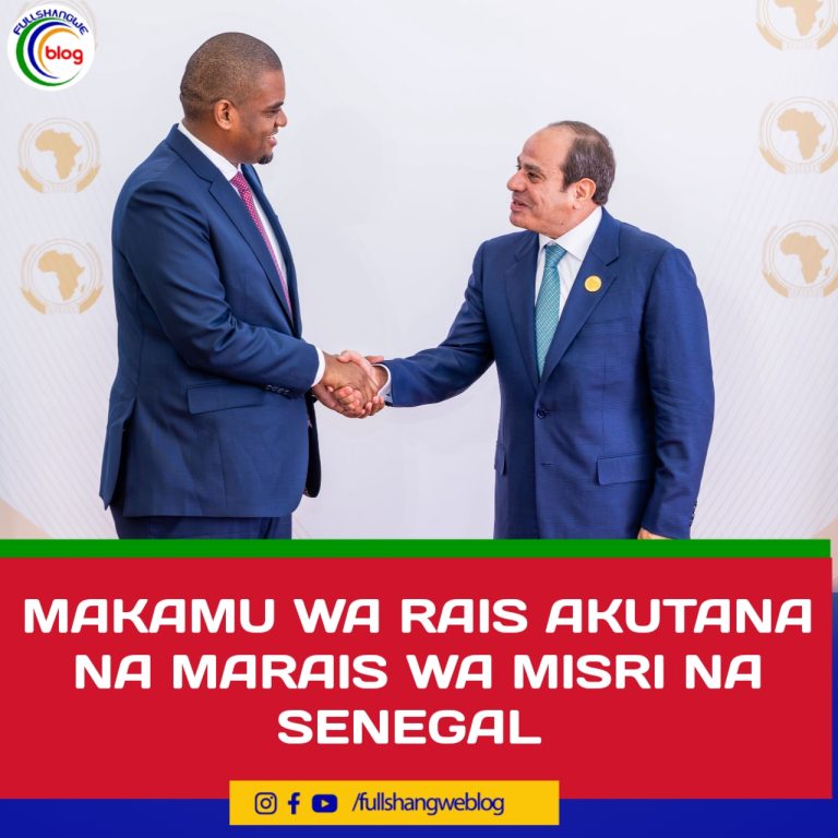 MAKAMU WA RAIS AKUTANA NA MARAIS WA MISRI NA SENEGAL