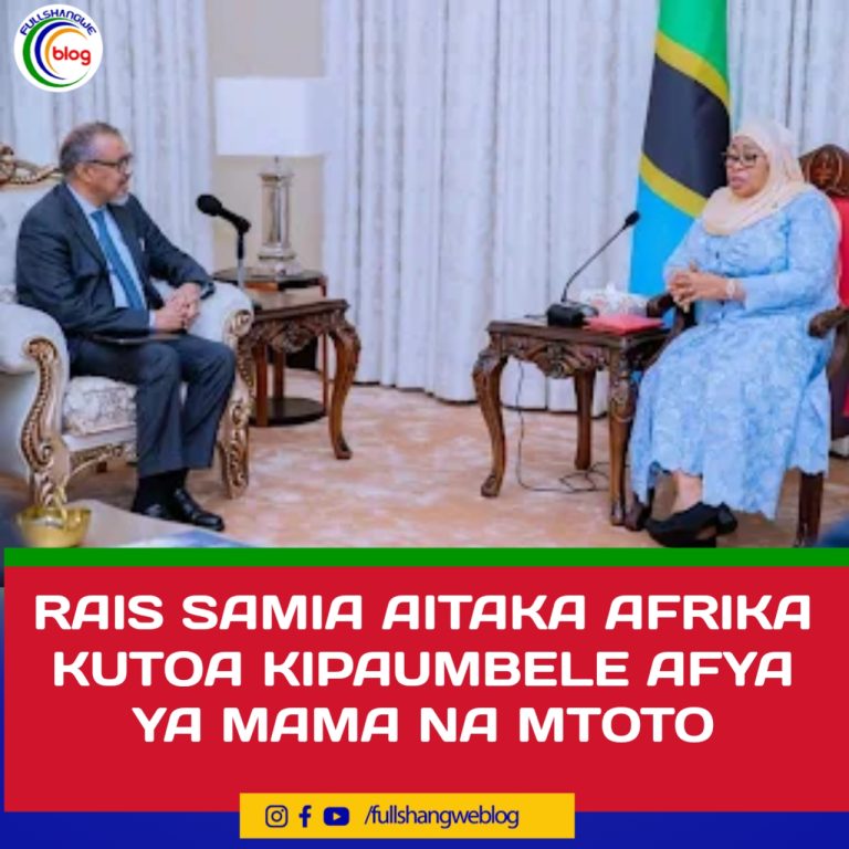 RAIS SAMIA AITAKA AFRIKA KUTOA KIPAUMBELE AFYA YA MAMA NA MTOTO