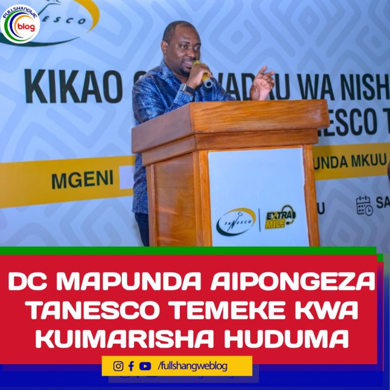 DC MAPUNDA AIPONGEZA TANESCO TEMEKE KWA KUIMARISHA HUDUMA
