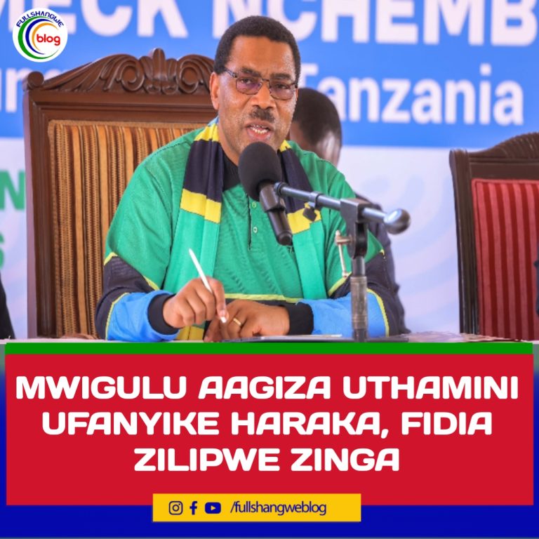 MWIGULU AAGIZA UTHAMINI UFANYIKE HARAKA ,FIDIA ZILIPWE ZINGA
