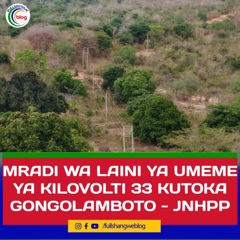 MRADI WA LAINI YA UMEME YA KILOVOLTI 33 KUTOKA GONGOLAMBOTO – JNHPP