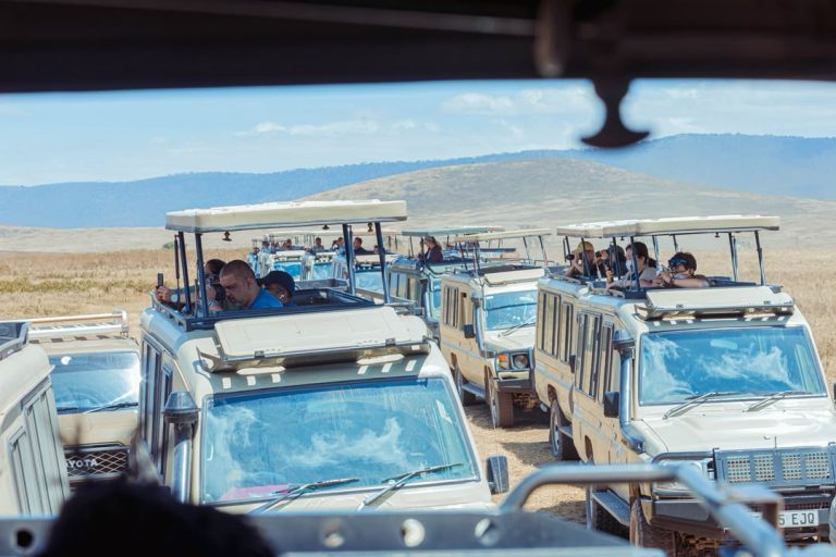 MAWAKALA WA UTALII KUTOKA INDIA WAVUTIWA NA HIFADHI ZA NGORONGORO NA SERENGETI