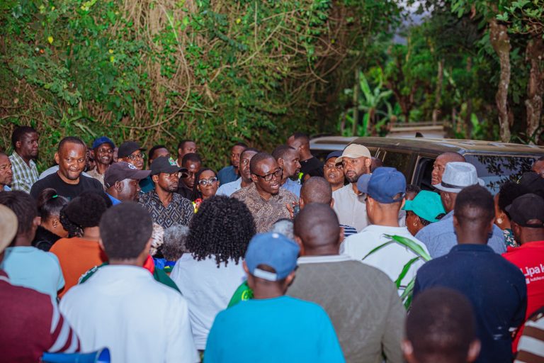 MHANDISI KUNDO: UDABUAJI MTO RAU UKAMILIKE MAPEMA KABLA YA MVUA