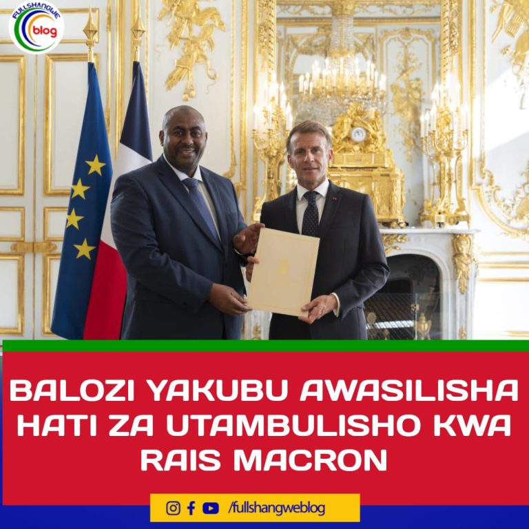BALOZI YAKUBU AWASILISHA HATI ZA UTAMBULISHO KWA RAIS MACRON