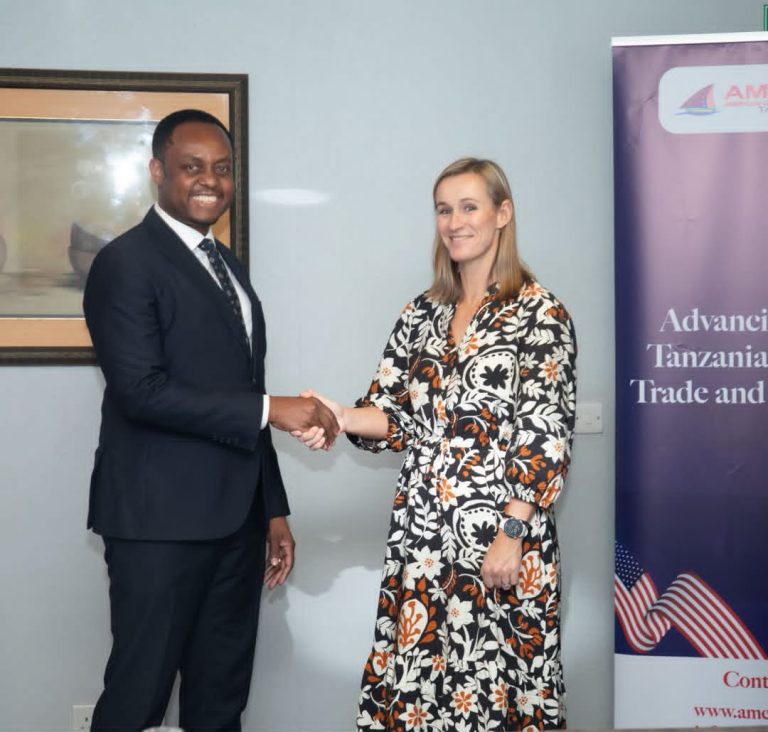 WAZIRI KAPINGA AZINDUA KIKOSI KAZI CHA AMCHAM KUIMARISHA VIWANDA NA MAUZO YA NJE