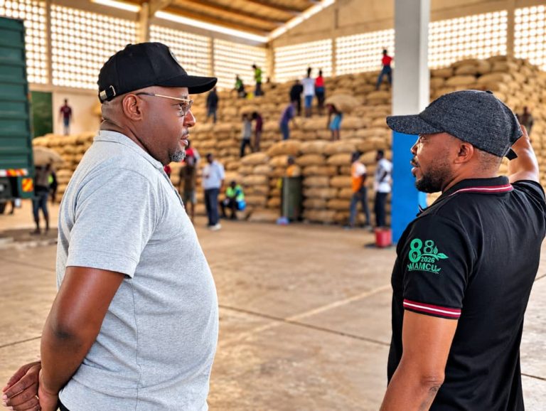 BANGU: KIWANGO STAHIKI CHA UNYEVU KWENYE KOROSHO KIZINGATIWE