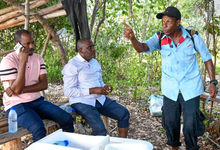 WANANCHI WA UZI WATAKA MARUFUKU YA UCHIMBAJI WA MCHANGA FUKWENI