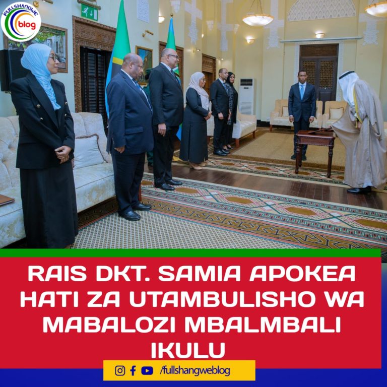 RAIS DKT. SAMIA APOKEA HATI ZA UTAMBULISHO WA MABALOZI MBALMBALI IKULU