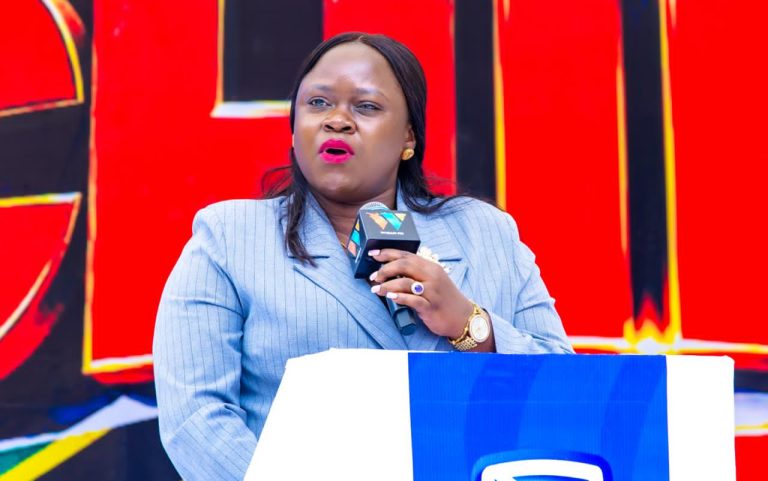 WAZIRI KAPINGA AKUTANA NA MTENDAJI MKUU WA ALAF TANZANIA 