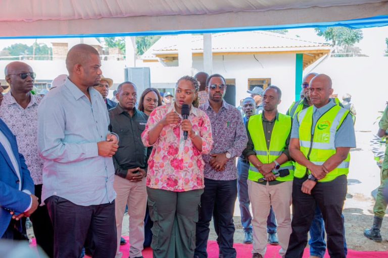 MAENEO YA MIJINI YENYE SURA YA VIJIJINI KUNUFAIKA NA UMEME KWA SHILINGI 27,000