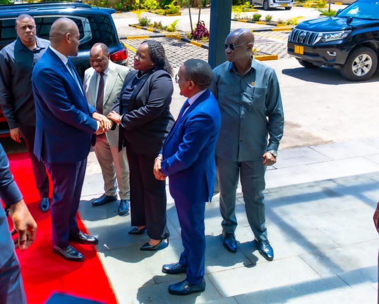 NDEJEMBI AIAGIZA WIZARA YA VIWANDA NA BIASHARA KUTENGENEZA SERA ITAKAYOONGOZA BIASHARA BUNIFU NCHINI
