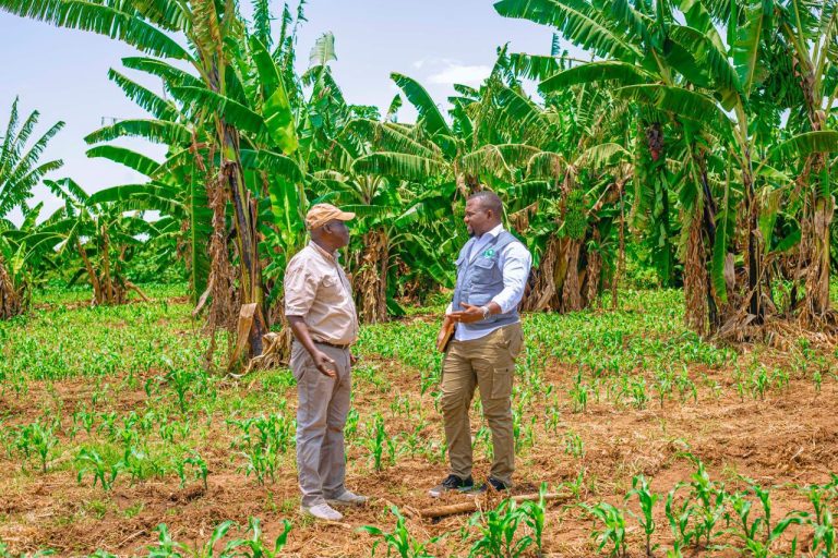 TFRA, CROP BIOSCIENCE KUANZISHA SHAMBA LA MFANO BABATI