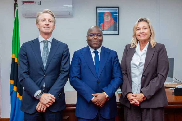 DKT. HOMERA AKUTANA NA WAWEKEZAJI WA MRADI WA LNG