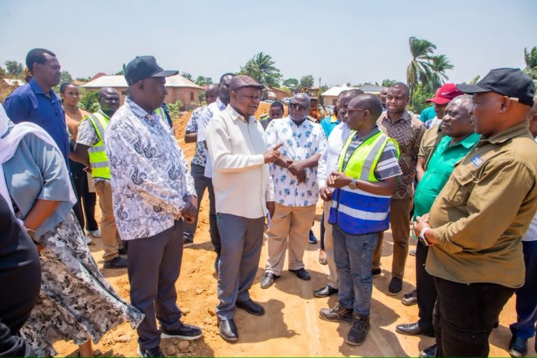 PROF. SHEMDOE AKAGUA MIRADI YA BILIONI 26 MPANDA, AWATAKA WATUMISHI KUTOA HUDUMA BORA ZINAZOAKISI UWEKEZAJI HUO