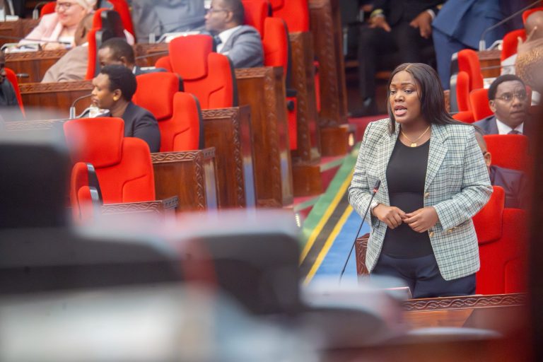 SERIKALI KUPELEKA UMEME VITONGOJI VYOTE VYA IGALULA IFIKAPO MWAKA 2030