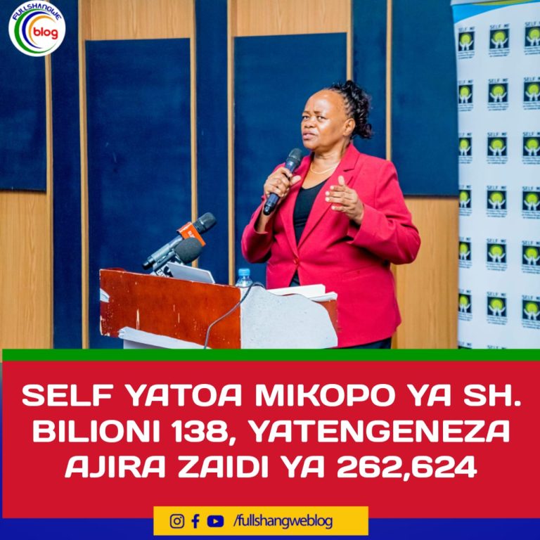 SELF YATOA MIKOPO YA SH. BILIONI 138, YATENGENEZA AJIRA ZAIDI YA 262,624