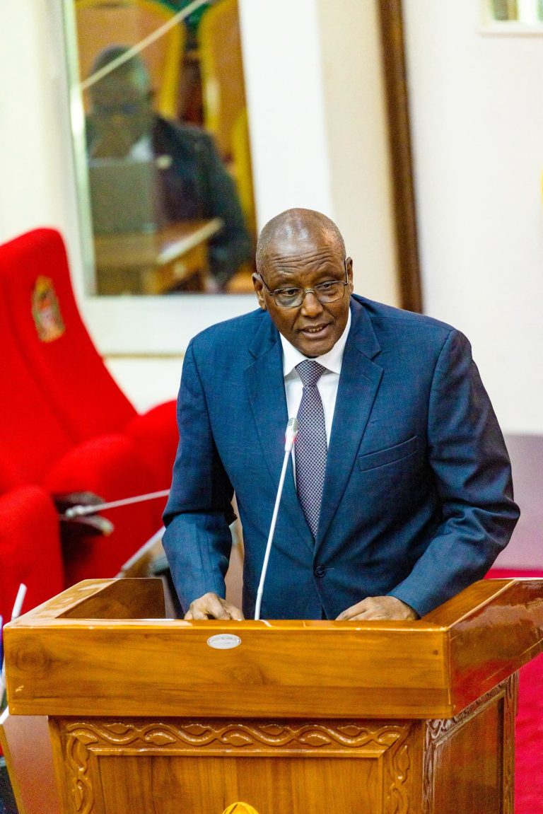 SERIKALI YASISITIZA UHAWILISHAJI TEKNOLOJIA KATIKA MIRADI YA MADINI MKAKATI