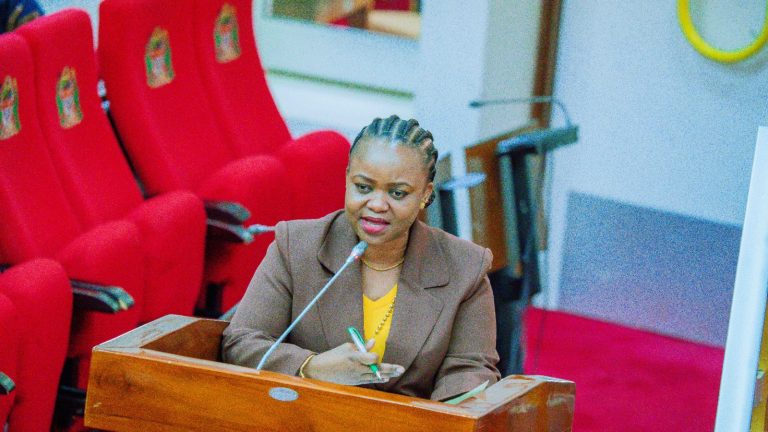 SERIKALI YAWEKA MIKAKATI KUONGEZA AJIRA RASMI KWA WANAWAKE, YATOA WITO KUDHIBITI VITENDO VINAVYOKIUKA MAADILI